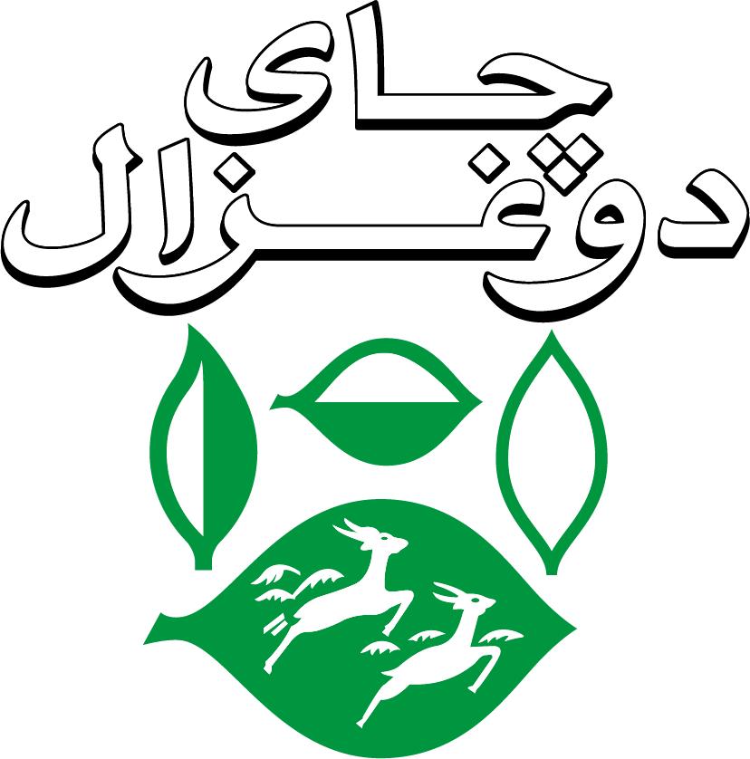 دو غزال