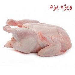 مرغ گرم یزد
