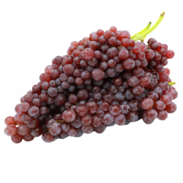 میوه انگور یاقوتی 