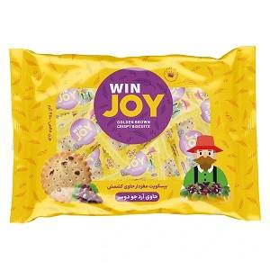 وین جوی بیسکوییت جوی دوسرکشمشی450گرم