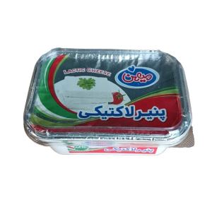 میهن پنیر لاکتیکی 250گرم