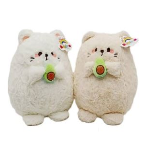 گربه آووکادو بدست کوچک