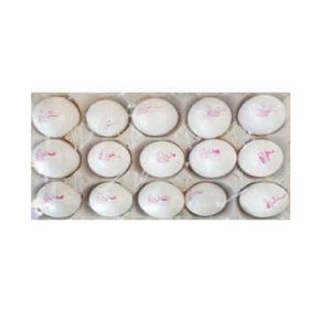 پانلا تخم مرغ طلقی15 عددی