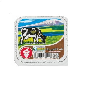 خامه کاکائویی 100 گرم پاک