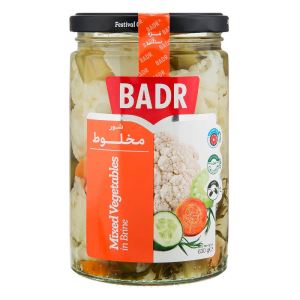 شور مخلوط 630 گرم بدر