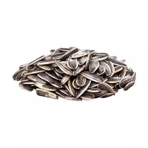 تخمه افتابگردان کانادایی فوق ممتاز گلپر