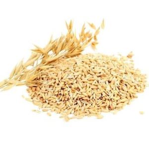 جوپوست کنده اعلا فله