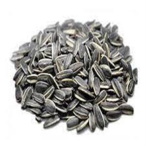 تخمه کانادایی