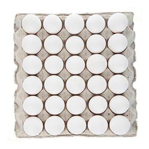 تخم مرغ سیمرغ فله