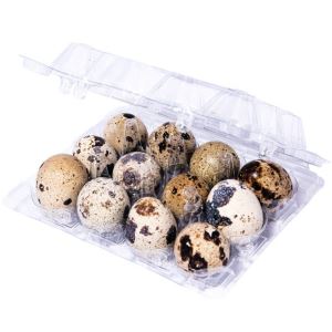 تخم بلدرچین