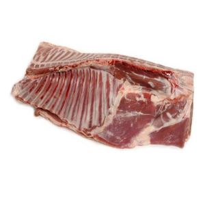 استخوان گوسفندی