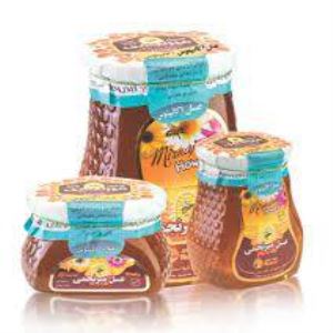 میرنجمی عسل شهد اکالیپتوس 350 گرم